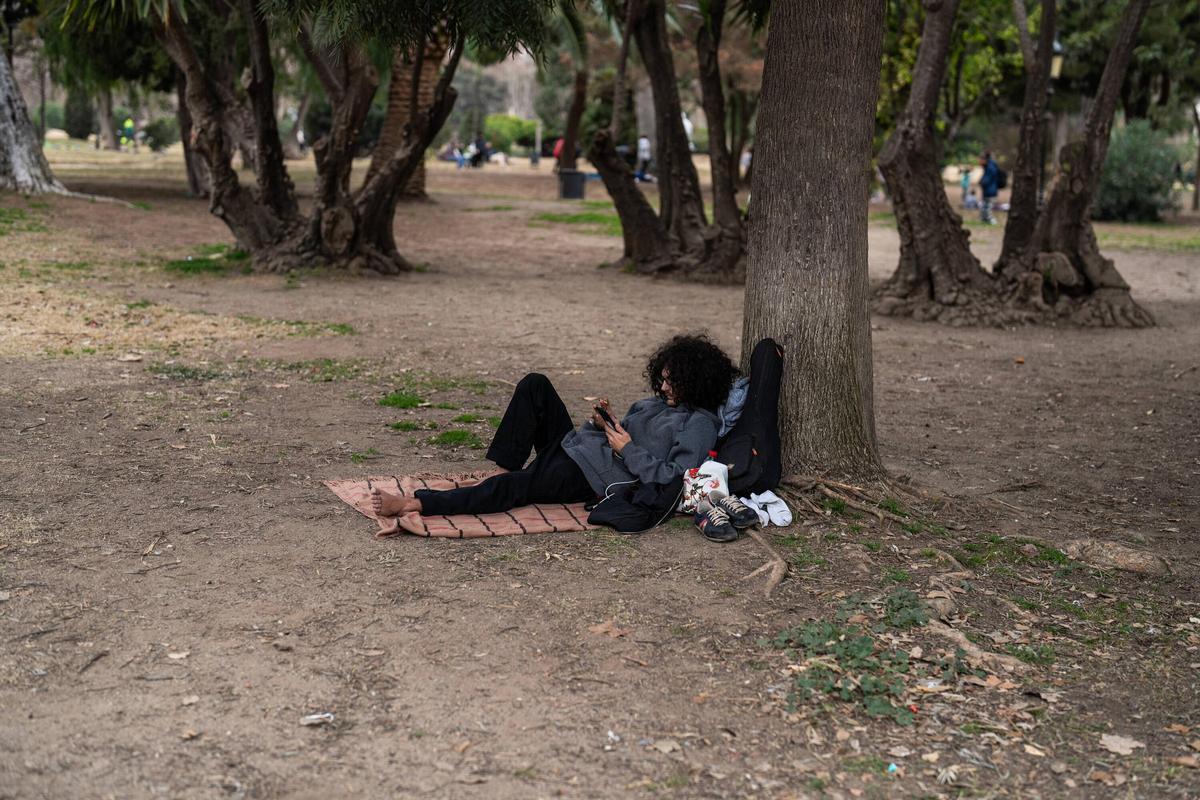 La sequía afecta los espacios verdes del Parque de la Ciutadella en Barcelona