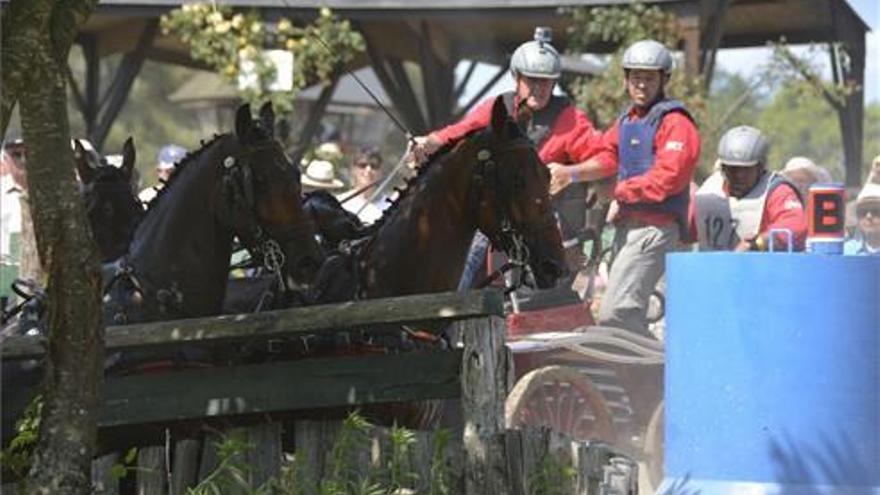 Duelo de cordobeses en la Copa Ibérica de enganches