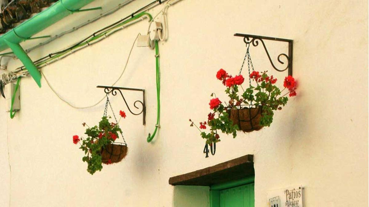 Ruta de Patios del Alcázar Viejo de Córdoba