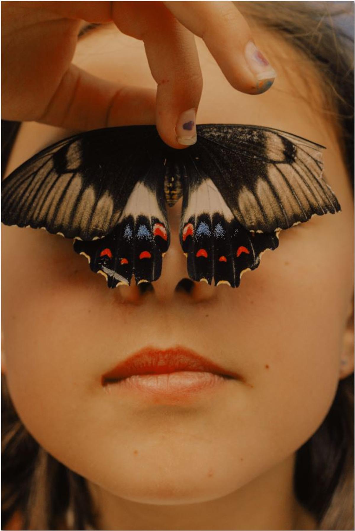 'Arche with the Swallowtail (2023) de Lisa Sorgini.