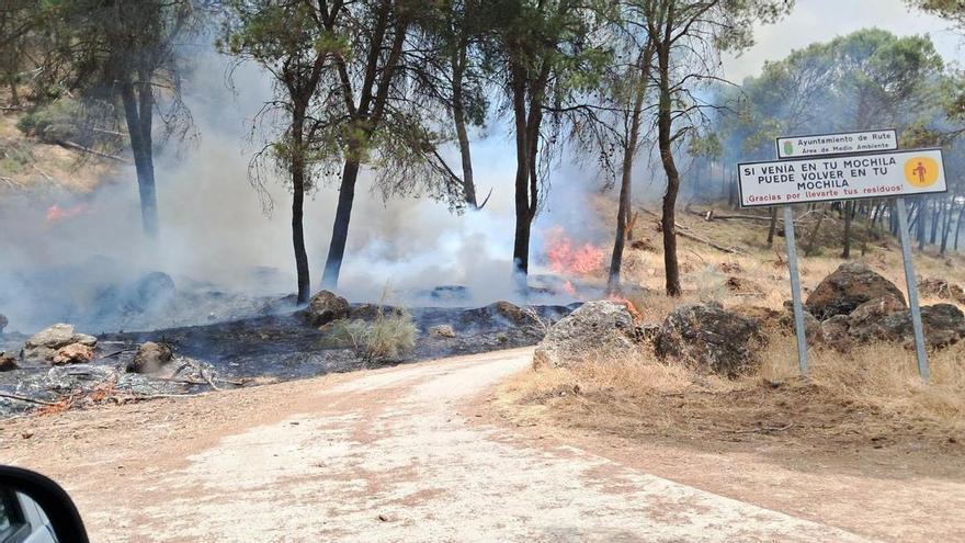 Las brigadas del Infoca, en el incendio de Rute