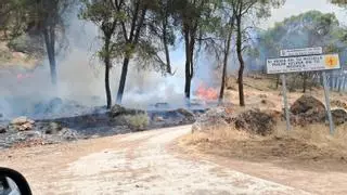 El Infoca logra estabilizar el grave incendio de Rute que ha obligado a cortar una carretera y ha provocado, al menos, un herido leve