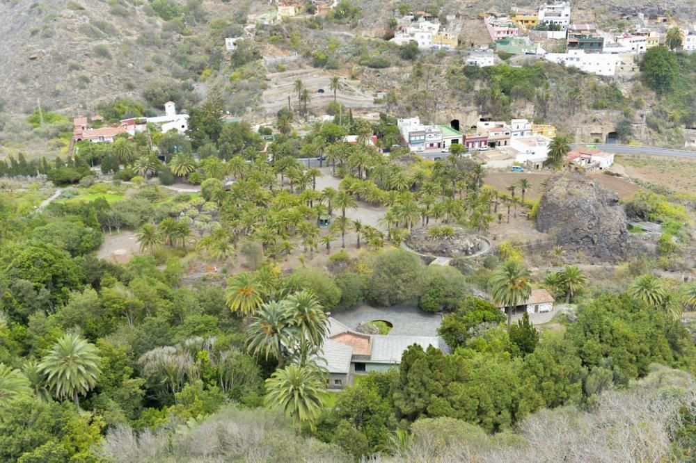 El Jardín Canario para evadirse del confinamiento