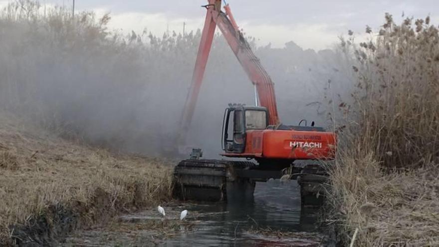 Una de las máquinas desbrozadoras que está trabajando en en el lecho del río Segura, en la zona de la Contraparada.