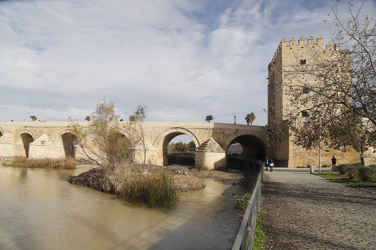 En imágenes el estado de la limpieza de los Sotos de la Albolafia