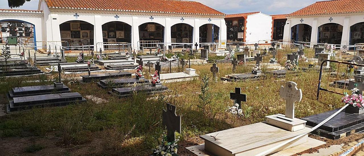 Tumbas de la zona hundida y precintada en el Port de Sagunt.  | LEVANTE-EMV