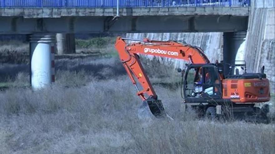 Trabajos de limpieza realizados por el ayuntamiento algemesinense en el río Magro.