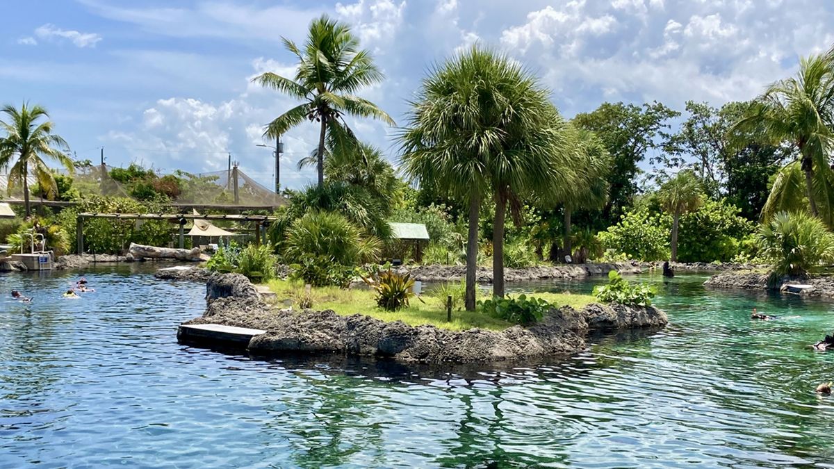Piscinas naturales y ecosistemas protegidos permiten descubrir la biodiversidad terrestre y marina de Grand Cayman.