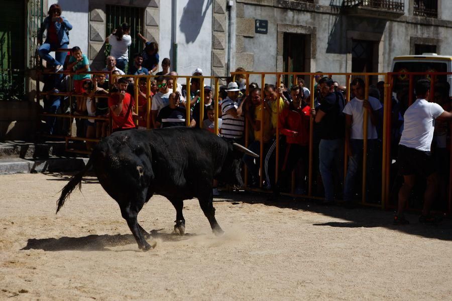 Encierro urbano en Bermillo de Sayago