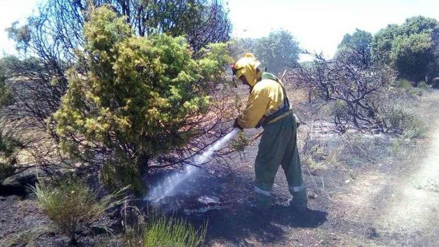 Sofocado un incendio en Palazuelo de Sayago