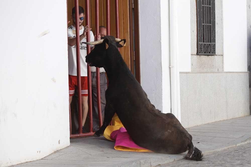 Encierros de Villanueva del Duque