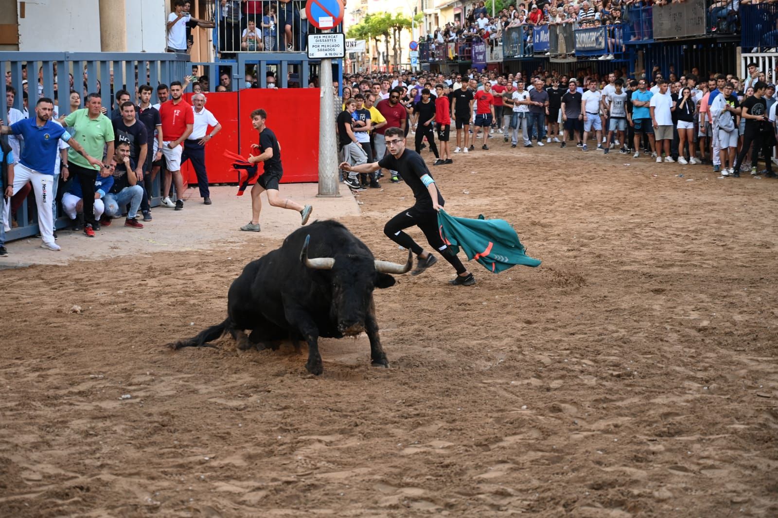 Bou per la vila en les Festes de San Pasqual de Vila-real