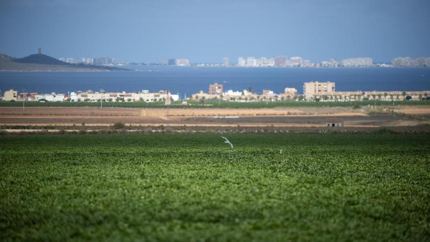 Ecologistas en Acción denuncia que el nuevo plan contra nitratos en Murcia "nace fracasado"