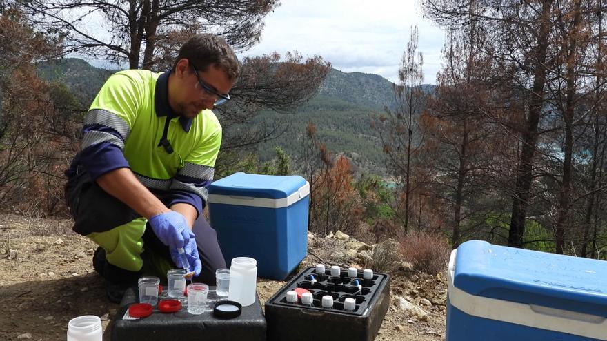 La CHJ evalúa el daño de los incendios de Viver y Bejís en los acuíferos