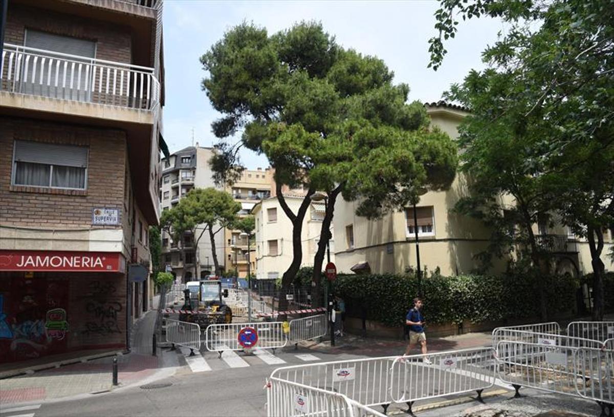 Consistorio y vecinos median para evitar la tala en Bruno Solano