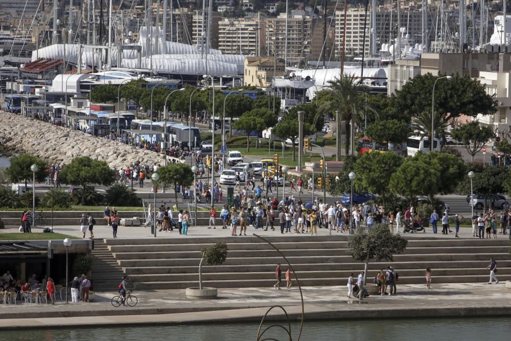 Die über 20.000 Passagiere wurden von einem Regenschauer begrüßt und drängelten sich anschließend durch Palmas Innenstadt.