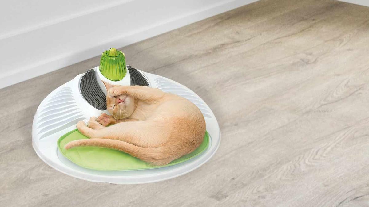 Lidl: El centro de bienestar para gatos que está arrasando en ventas en Lidl