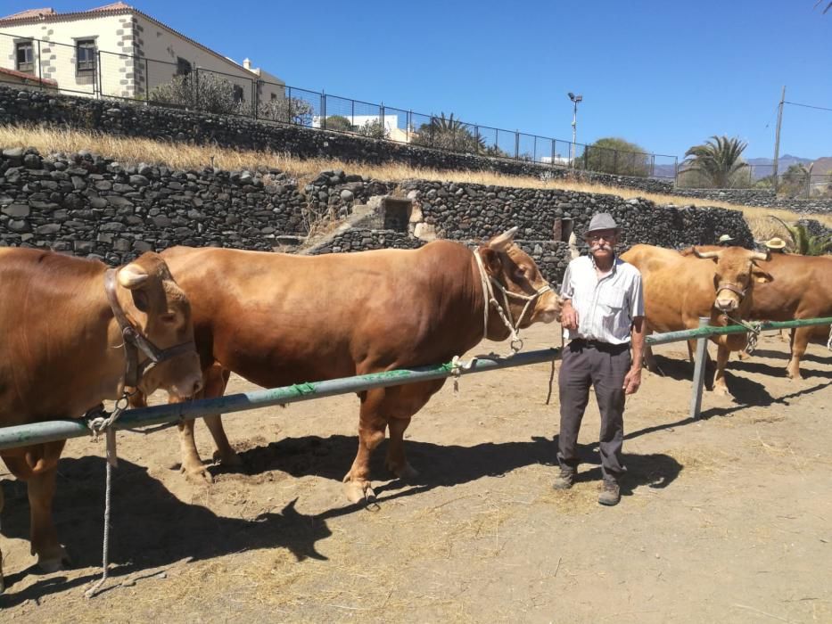 Celebración de San Juan en Telde