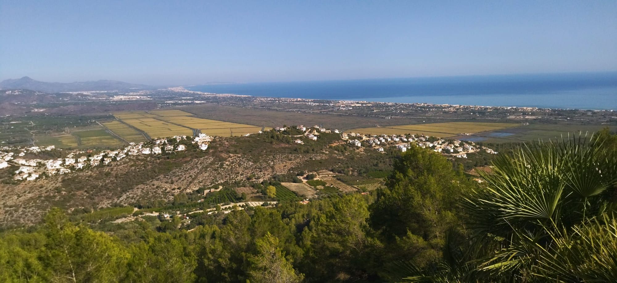 Arroz al norte y naranjos al sur: el paisaje agrícola desde la cima de Segària (imágenes)
