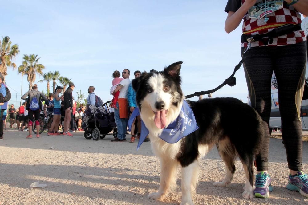 I Cross Canina de Santa Ana