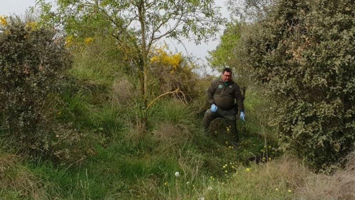 Agente rural delimitando la zona en donde se encontró al perro