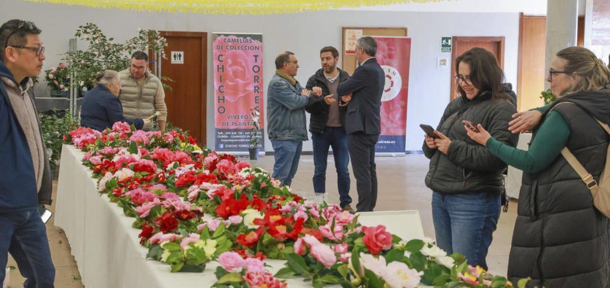 Cambados busca, por noveno año, al mejor cultivador de la flor de Galicia | IÑAKI ABELLA