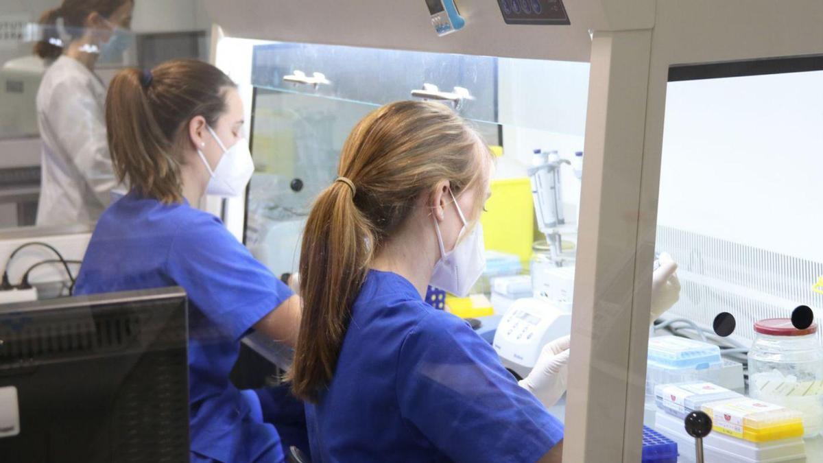 Mujeres trabajando en una clínica de fertilidad.