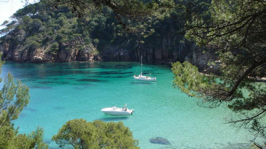 La cala d&#039;Aiguablava, candidata a millor platja d&#039;Espanya