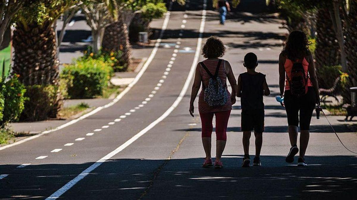 Un carril bici en la avenida de Los Majuelos, en el municipio de La Laguna.