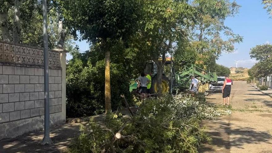 Efectos del viento y el granizo en las Cinco Villas