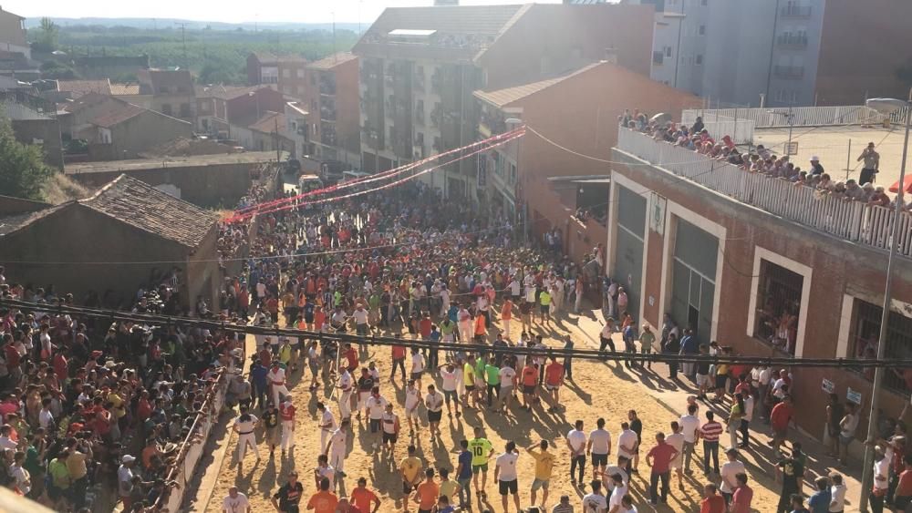 La carrera del Toro Enmaromado 2017 Razonador