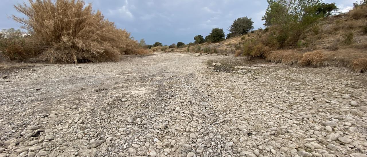 Efectes de la sequera al riu Fluvià que perd totalment el cabal superficial d’aigua a Palol, entre Sant Miquel de Fluvià i Torroella de Fluvià.