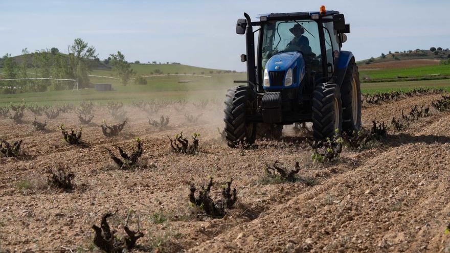 Los contratos agrícolas caen pero Zamora resiste con la bajada más moderada, del 2,1%