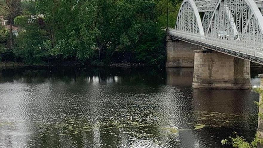 El alcalde denuncia el «abandono» de las aguas y márgenes del río