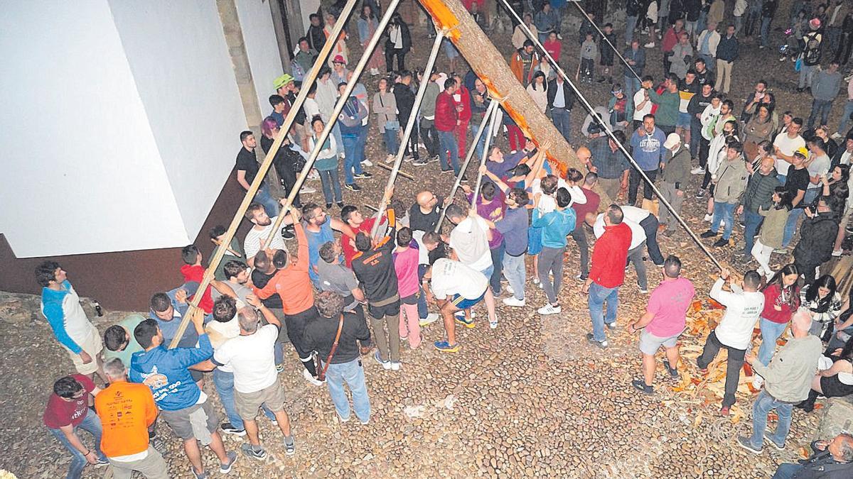 Los mozos de Cangas del Narcea, erigiendo «el arbolón» frente a la capilla del Carmen. | R. S. A.