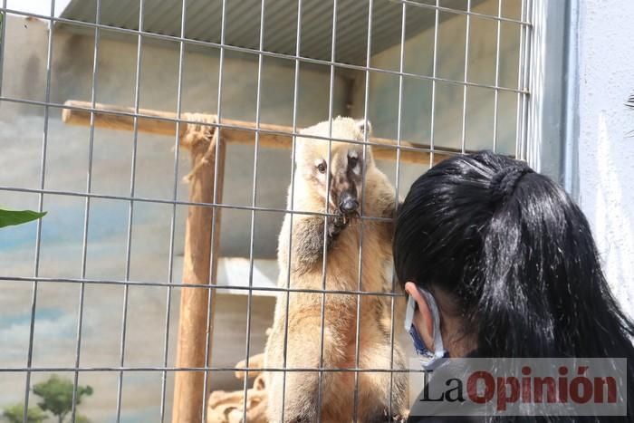 Las Águilas del Sol de Puerto Lumbreras piden ayud