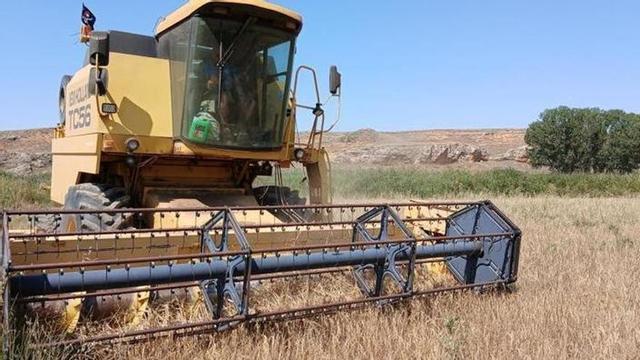 Una cosechadora trabaj un campo de cereal, en imagen de archivo.