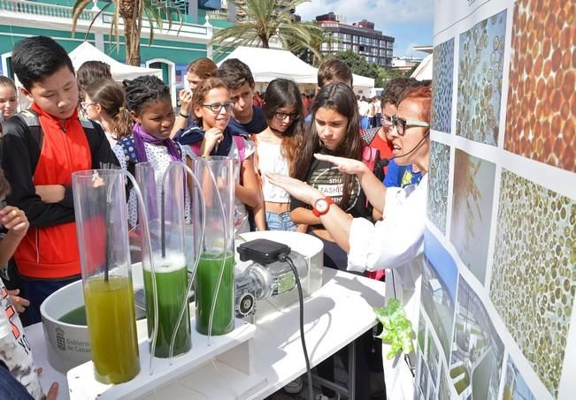 MINIFERIA SEMANA DE LA CIENCIA