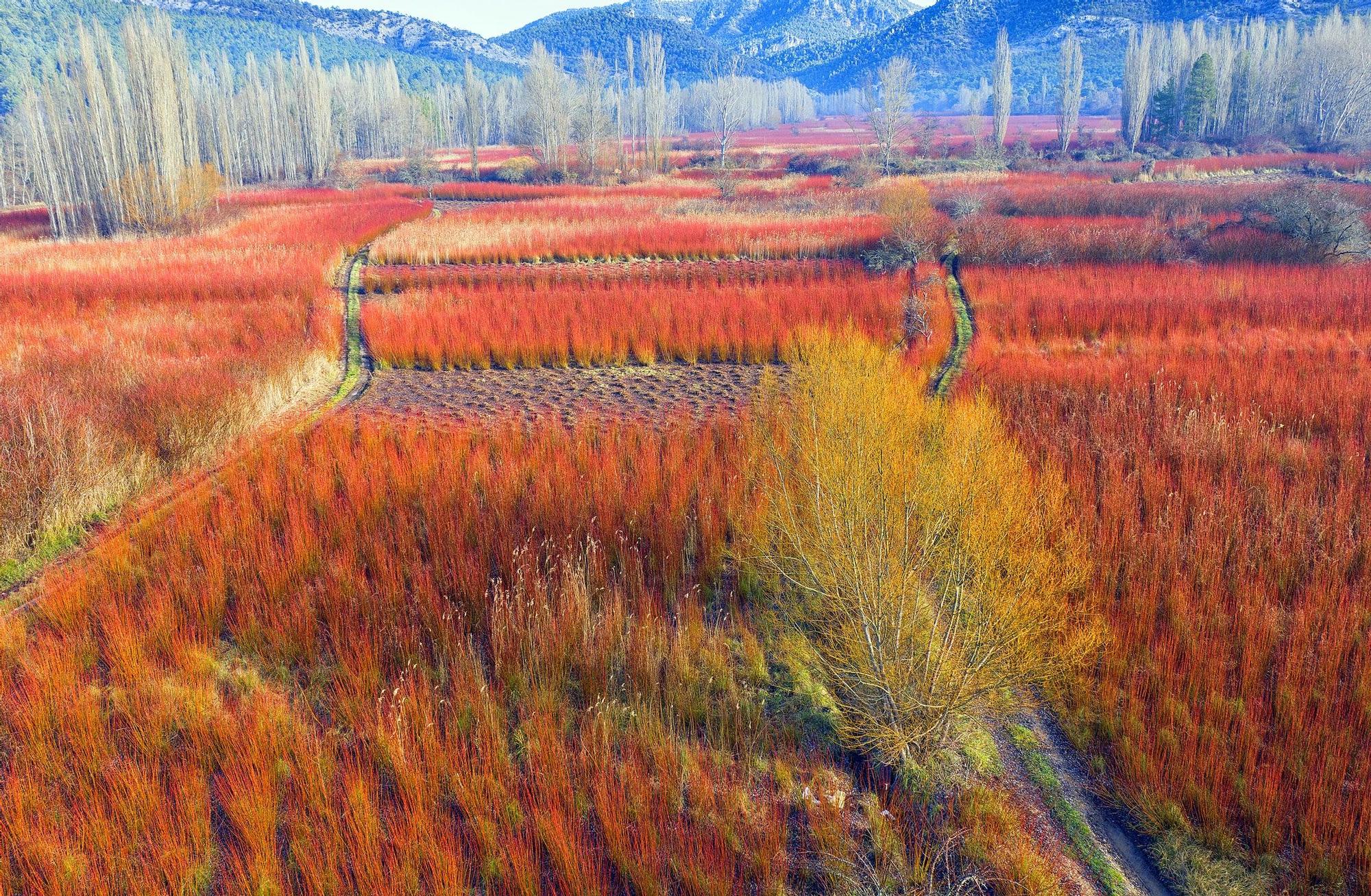 La ruta de la Serranía de Cuenca que es un espectáculo para los sentidos.
