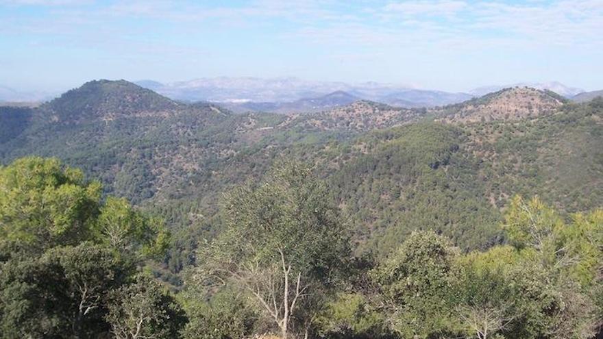 Una vista del parque natural de los Montes de Málaga.