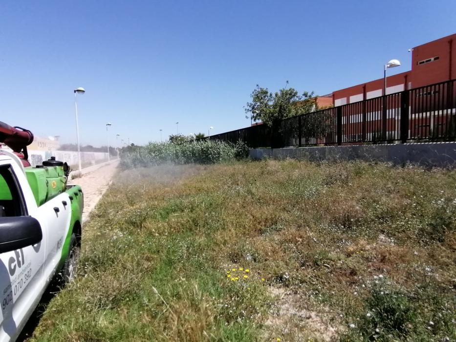 Imagen de la fumigación en la zona del IES Torrevigía y Altos del Edén