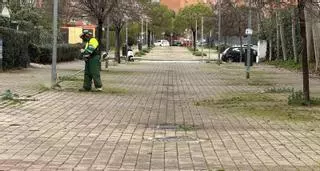 El Ayuntamiento de Alcalá de Henares inicia en marzo la campaña anual de desbroce con actuaciones en toda la ciudad: esto es lo que va a durar
