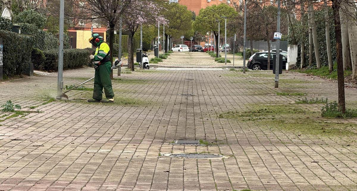 La campaña se desarrollará de forma progresiva en todos los barrios hasta completar la totalidad de las áreas previstas
