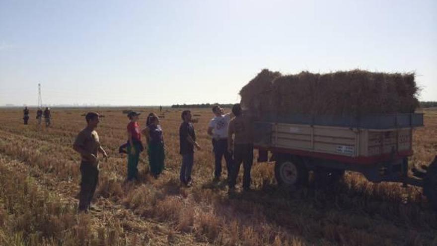 El primer banco para salvaguardar l&#039;Albufera