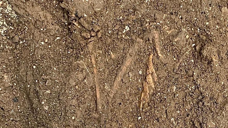 Hallan huesos humanos de época islámica en unas obras municipales en Pollença