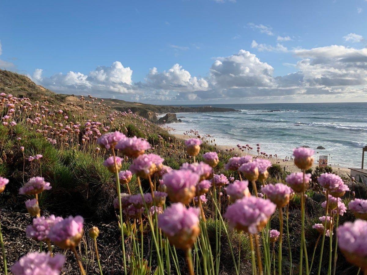Litoral, Alentejo, Portugal