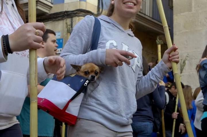 Más de 200.000 personas participan en la romería al Monasterio en el 526 anivesario del Milagro de la Lágrima