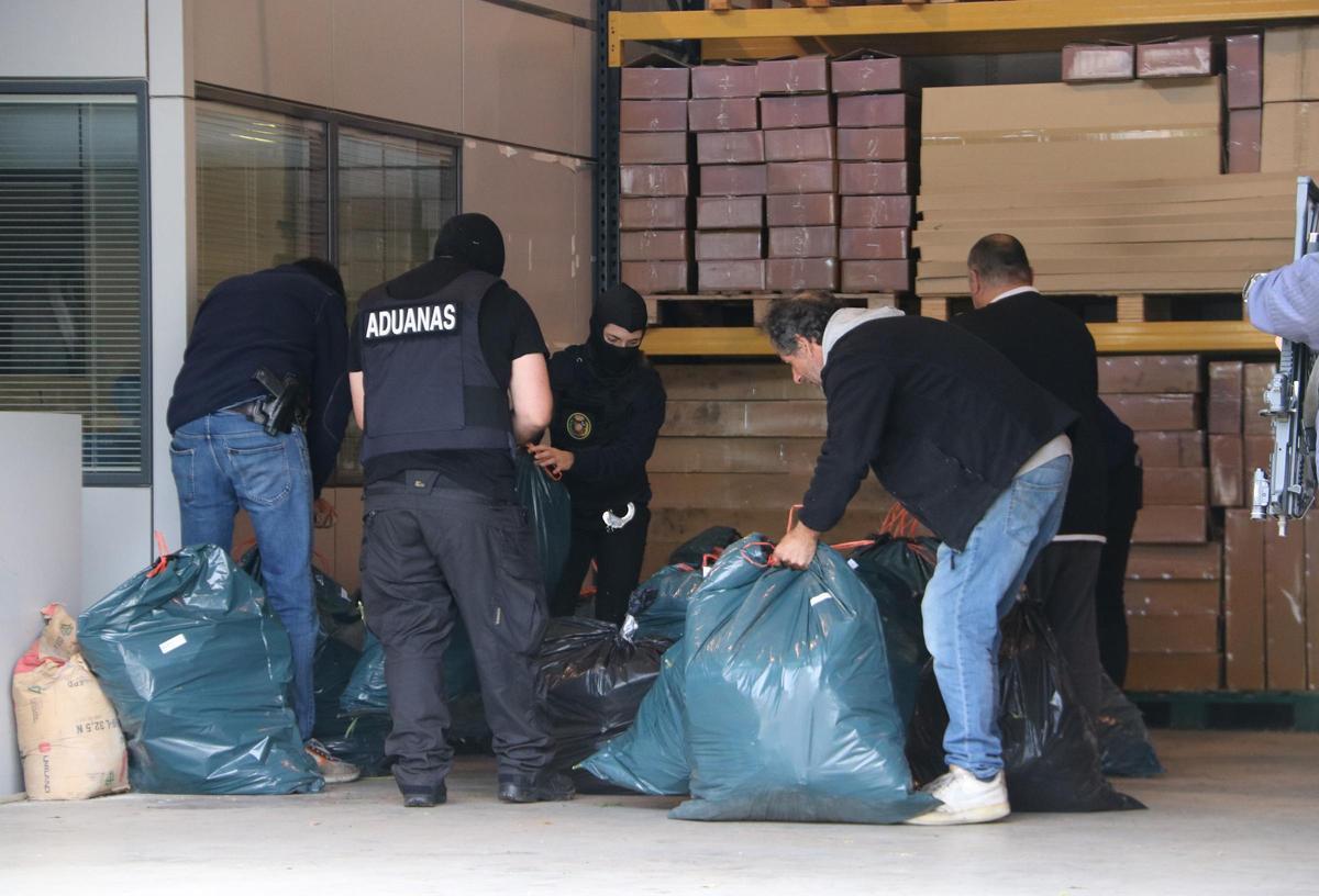 La droga recollida en una nau de Figueres on hi havia una plantació.