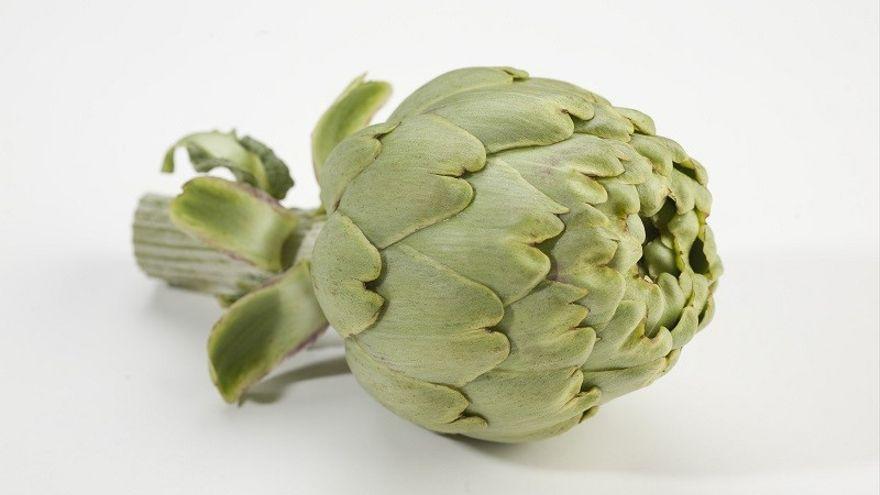 La alcachofa es una hortaliza con múltiples beneficios para la salud de las personas.