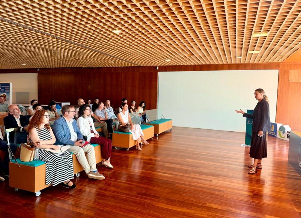 Ponencia de Alana Rawlins.